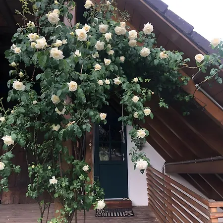 Schutterzeit Apartamento Schuttertal