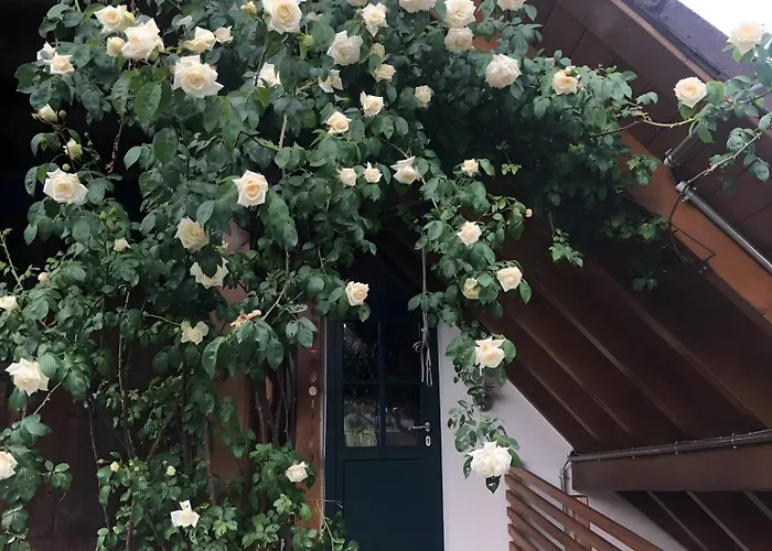 Schutterzeit Apartament Schuttertal